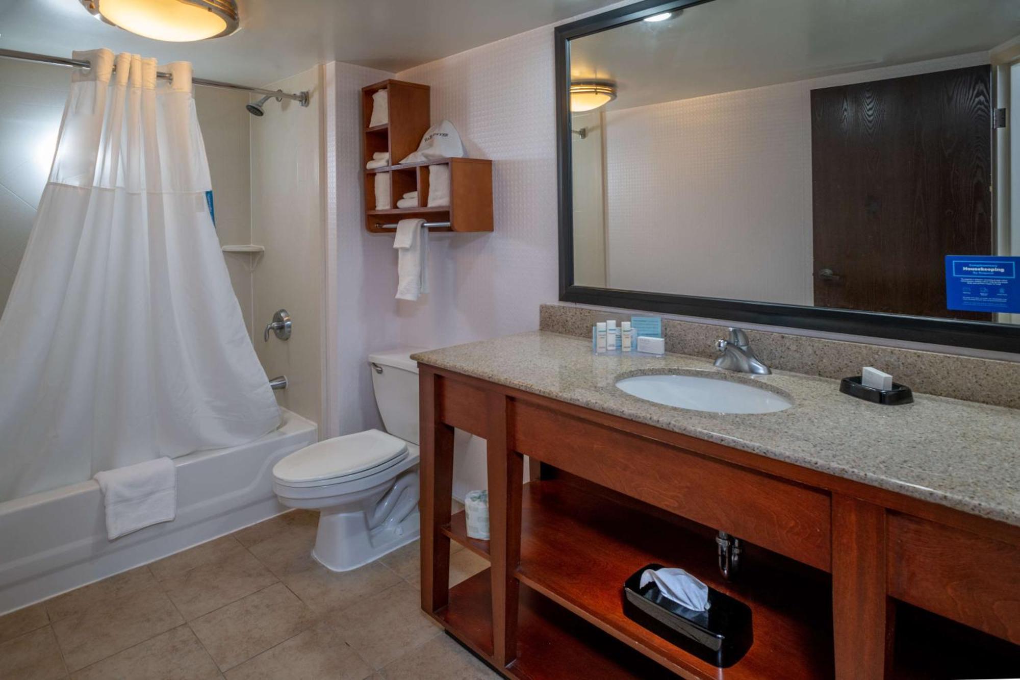 Hampton Downtown Hotel 3*