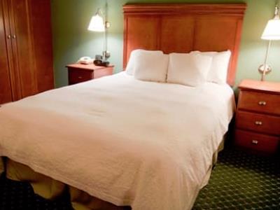 Hampton Downtown Hotel 3*